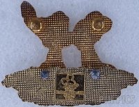 DEC - Hiawatha Pin