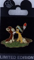 DEC - Hiawatha Pin