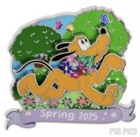 DIS - Pluto - Spring 2025