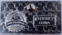 WDW - GO N DOWN - Attraction Vehicle License Plate - Mini-Pin Collection