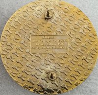 Disney Auctions - Stitch for President