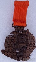 DLP - The Lion King - Run Weekend 2019 - 5K Replica Medal