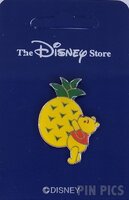 Japan - Pooh with Pineapple - TDL