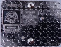 DLR - Zero Flying Above a Field of Jack Faces