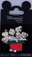 DLP - 101 Dalmatians in a Box