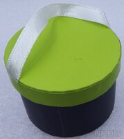WDW - Pluto - Hat Box - Cast Member - Set