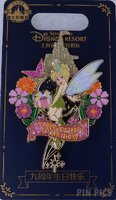 SDR - Tinker Bell - Ninth Birthday