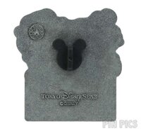 Japan - Minnie and Mickey - Ready for Takeoff - Where Dreams Touch the Sky - July 2025 - TDR