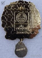 HKDL - 13th anniversary pin