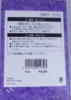 Japan - Brass Framed Villain Portrait Set - Halloween - TDR