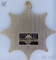 DS - Mickey, Minnie, Donald, Daisy and Goofy - At the Beach Medallion - Lanyard, Medallion and Pin