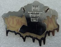 DLR - Mad T Party 2012 - Winter Logo