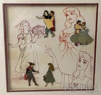 DC - Princes and Princesses Framed Set