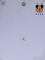 Mickey and Minnie with surfboard