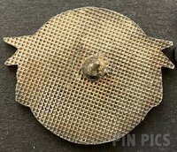 Disney Goals Hockey Program