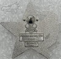 DLR - Pluto - Patriotic Star Salute - Hidden Mickey 2008