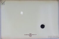 WDFM - Dormouse Tea Pot Pin - Card Set