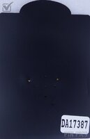 DA - Mickey Locomotive Train Conductor - Fab 5 Christmas Train set