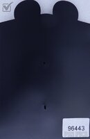 DS - Peter Pan and Tinker Bell - Photo Booth