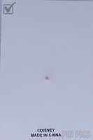 DLR - Princess Aurora - Disneyland Resort - Card Collection