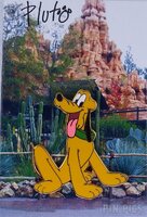 DLR - Pluto - Disneyland Resort - Card Collection