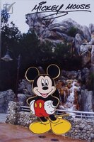 DLR - Mickey Mouse - Disneyland Resort - Card Collection