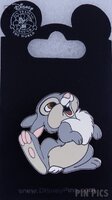 Thumper - Walt Disney's Bambi - Foot in the air - Grey rabbit