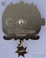 Japan - Rapunzel and Flynn Rider - Rapunzel's Lantern Festival - TDS