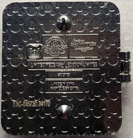 DLR - Chip and Dale - Halloween Half Marathon 5K 2024 - Hinged - runDisney