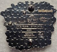 DLR - Chip and Dale - I Went Fur It- Halloween Half Marathon 5K 2024 - Hinged - runDisney