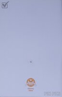 DLR - Tinker Bell - Greeting Card with Pin