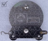 WDW - Cheshire Cat - Resort Train - Mystery