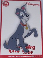 DLP - Tramp - Pin Trading Time Jumbo - Lady and the Tramp