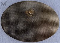 DLR - Mickey and Minnie - Disneyland Main Street Electrical Parade