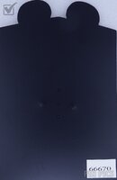 DS - Tinker Bell - Characters Dressed as Pirates Series