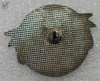 Disney Goals Hockey Program