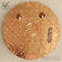 Lady and the Tramp 65th Anniversary - Disney Visa Rewards 2020 - Error - Version 1