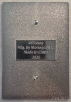 MII - Cinderella - Princess Watercolor Portraits Series - Jumbo - PALM