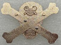 Skull and Crossbones - Pirates of the Caribbean - Jeweled - Glow in the Dark